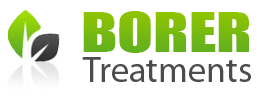 Borer Treatments